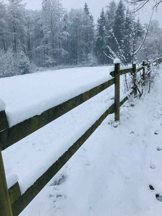 Ferienwohnung Losenberg Olsberg Buitenkant foto